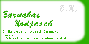 barnabas modjesch business card
